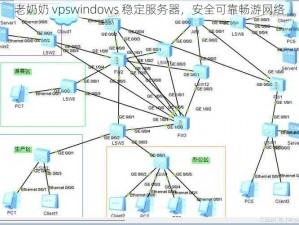 老奶奶 vpswindows 稳定服务器，安全可靠畅游网络