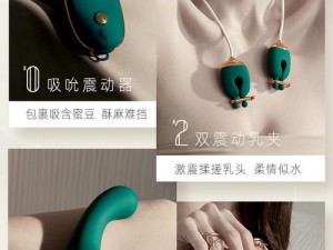 风韵以婚少妇与按摩师情趣用品