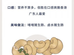 牛鞭擦进女人下身的作用与功效