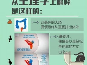 《疯狂梗传：完美通关攻略，解锁正确蹲马桶姿势助力上厕所挑战》