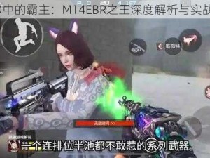 CFHD中的霸主：M14EBR之王深度解析与实战指南