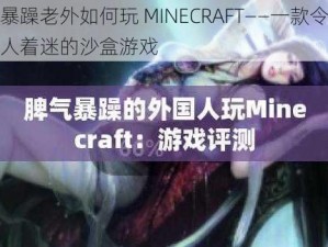 暴躁老外如何玩 MINECRAFT——一款令人着迷的沙盒游戏