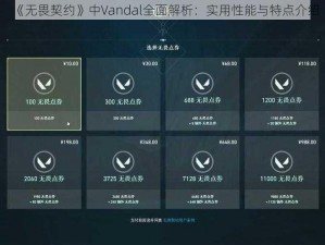 《无畏契约》中Vandal全面解析：实用性能与特点介绍