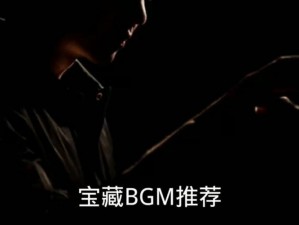 老太太 bgmbgmbgm 视频：优质生活用品的宝藏之选