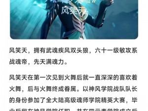 以斗罗大陆鬼魅风笑天为核心阵容的独特战斗配置