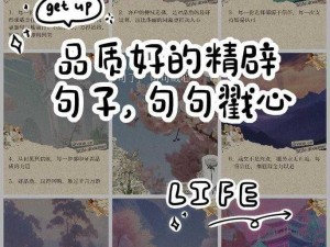 校园列车上的小黄说说 1000 字：提升校园生活品质的必备好物