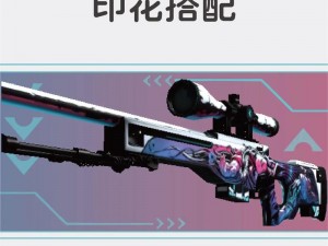 关于CSGO裂网大行动新印花系列之独特风采与创意设计