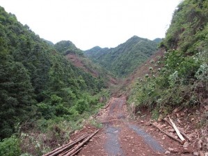 两峰夹小溪地湿又无泥，山峦对峙，中间夹着一条小溪，地面潮湿，没有泥泞