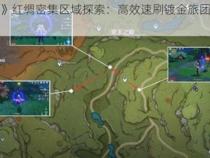 《原神》红绸密集区域探索：高效速刷镀金旅团攻略大揭秘