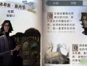 哈利波特魔法觉醒游戏全新洛蒂卡牌介绍与解析