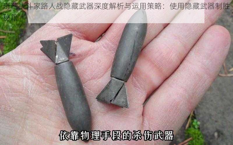 奇葩战斗家路人战隐藏武器深度解析与运用策略：使用隐藏武器制胜秘籍