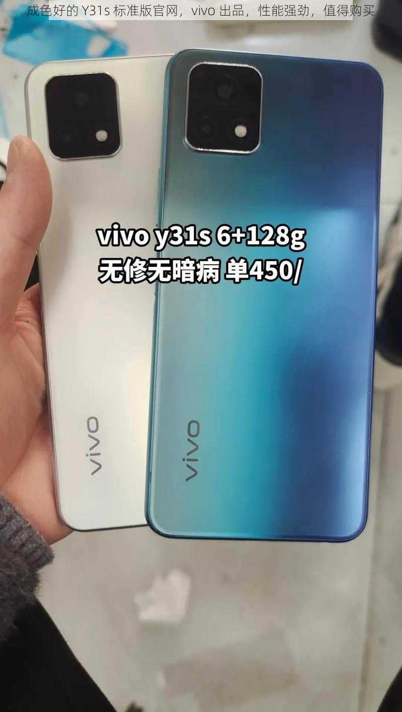 成色好的 Y31s 标准版官网，vivo 出品，性能强劲，值得购买