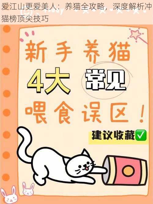 爱江山更爱美人：养猫全攻略，深度解析冲猫榜顶尖技巧