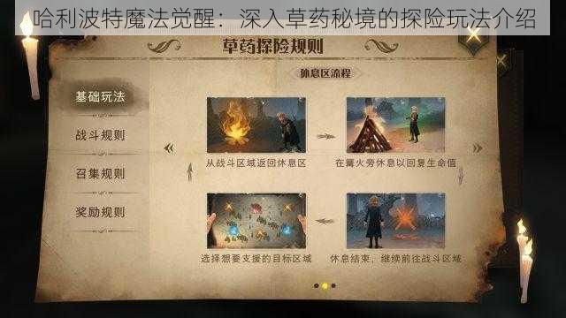 哈利波特魔法觉醒：深入草药秘境的探险玩法介绍