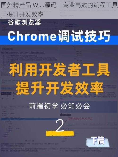 国外精产品 W灬源码：专业高效的编程工具，提升开发效率