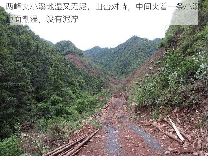 两峰夹小溪地湿又无泥，山峦对峙，中间夹着一条小溪，地面潮湿，没有泥泞