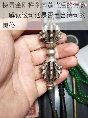 探寻金刚杵汆肉莲背后的诗意：解读这句话是否蕴含诗句的奥秘