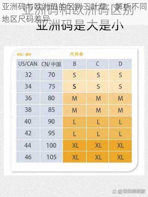 亚洲码与欧洲码的区别三叶草：解析不同地区尺码差异