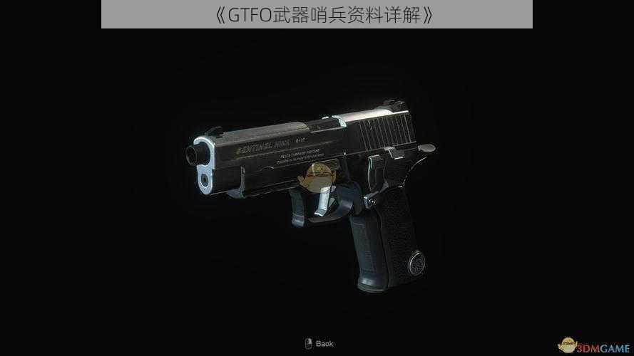 《GTFO武器哨兵资料详解》