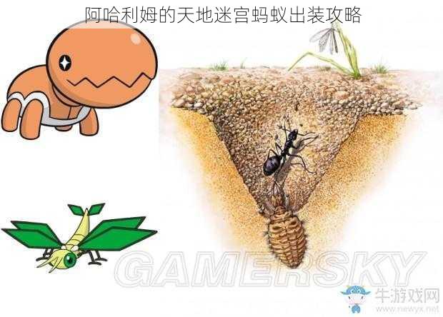 阿哈利姆的天地迷宫蚂蚁出装攻略