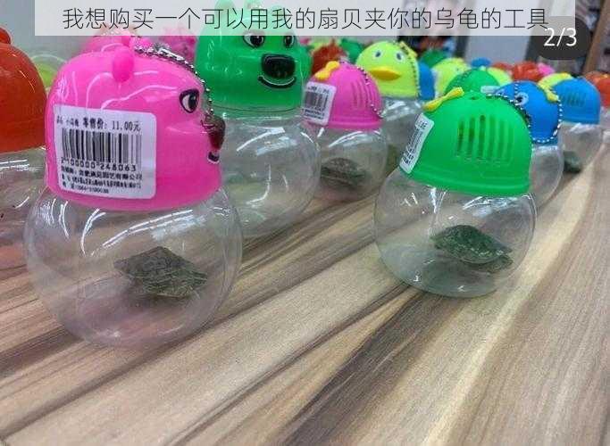 我想购买一个可以用我的扇贝夹你的乌龟的工具