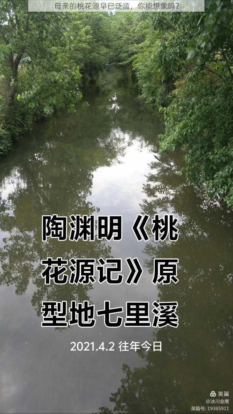 母亲的桃花源早已泛滥，你能想象吗？