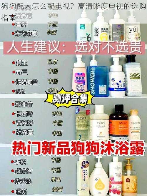 狗狗配人怎么配电视？高清晰度电视的选购指南