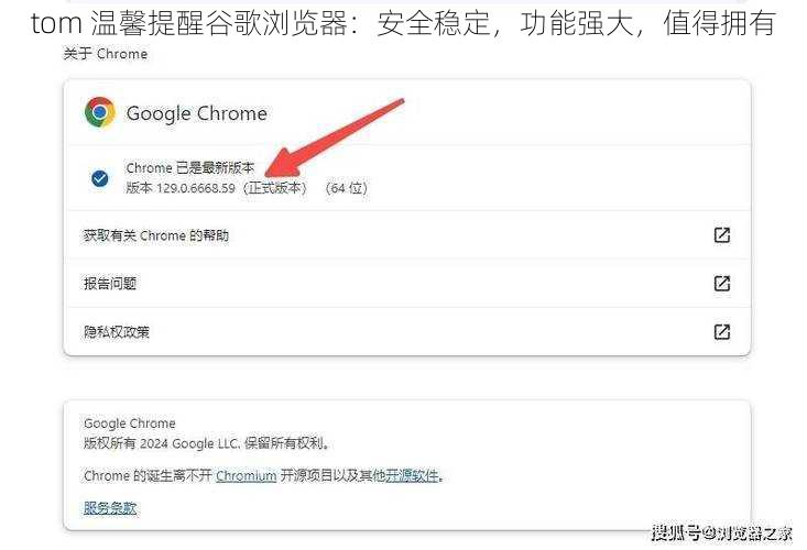 tom 温馨提醒谷歌浏览器：安全稳定，功能强大，值得拥有