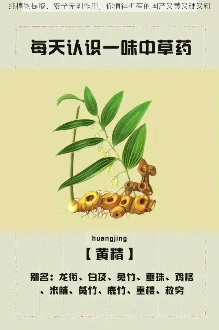 纯植物提取，安全无副作用，你值得拥有的国产又黄又硬又粗