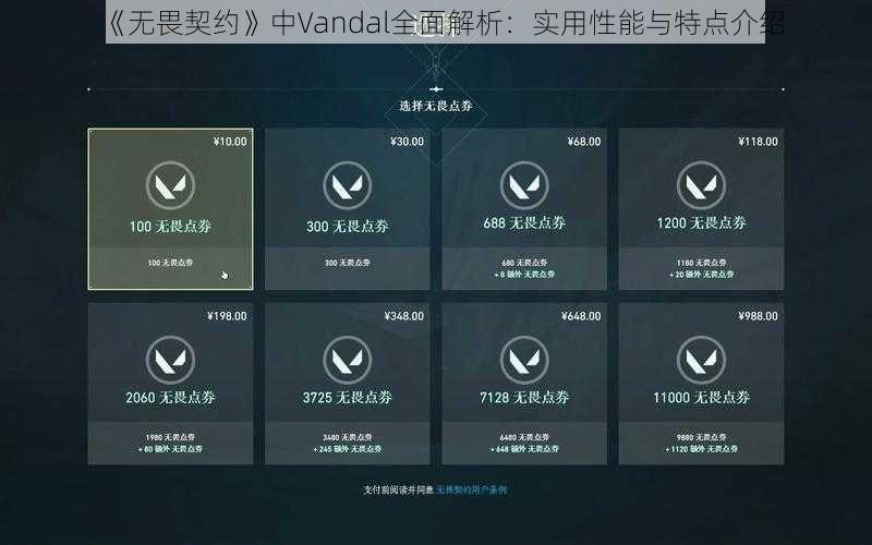 《无畏契约》中Vandal全面解析：实用性能与特点介绍