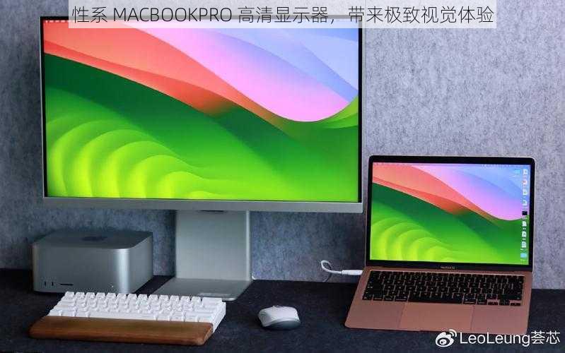 性系 MACBOOKPRO 高清显示器，带来极致视觉体验