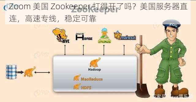 Zoom 美国 Zookeeper 打得开了吗？美国服务器直连，高速专线，稳定可靠