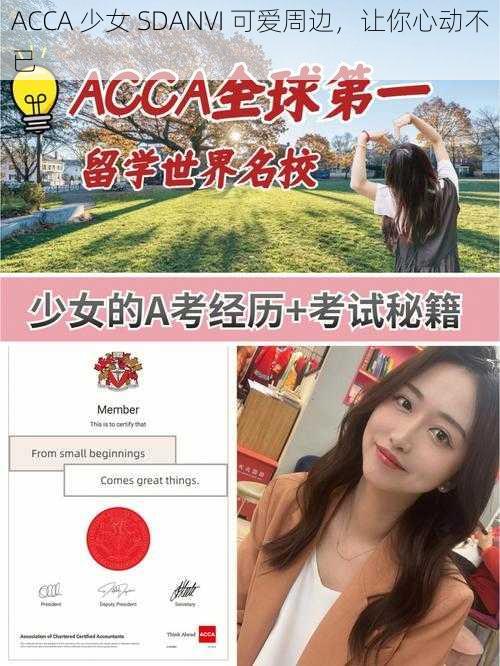 ACCA 少女 SDANVI 可爱周边，让你心动不已