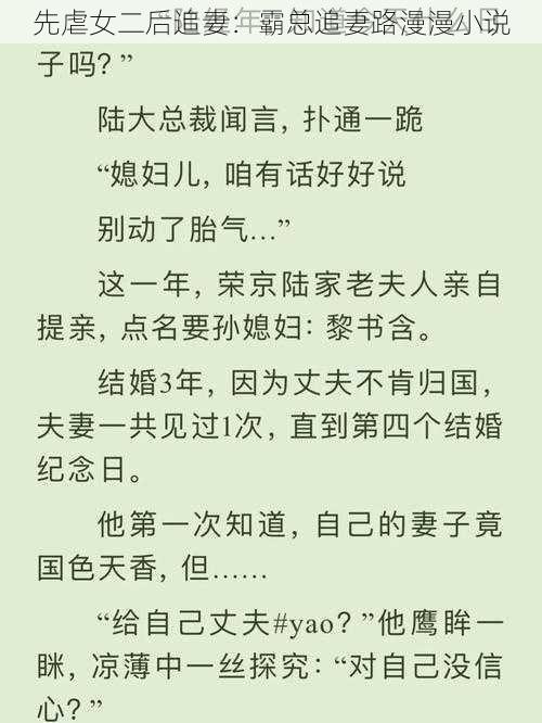 先虐女二后追妻：霸总追妻路漫漫小说