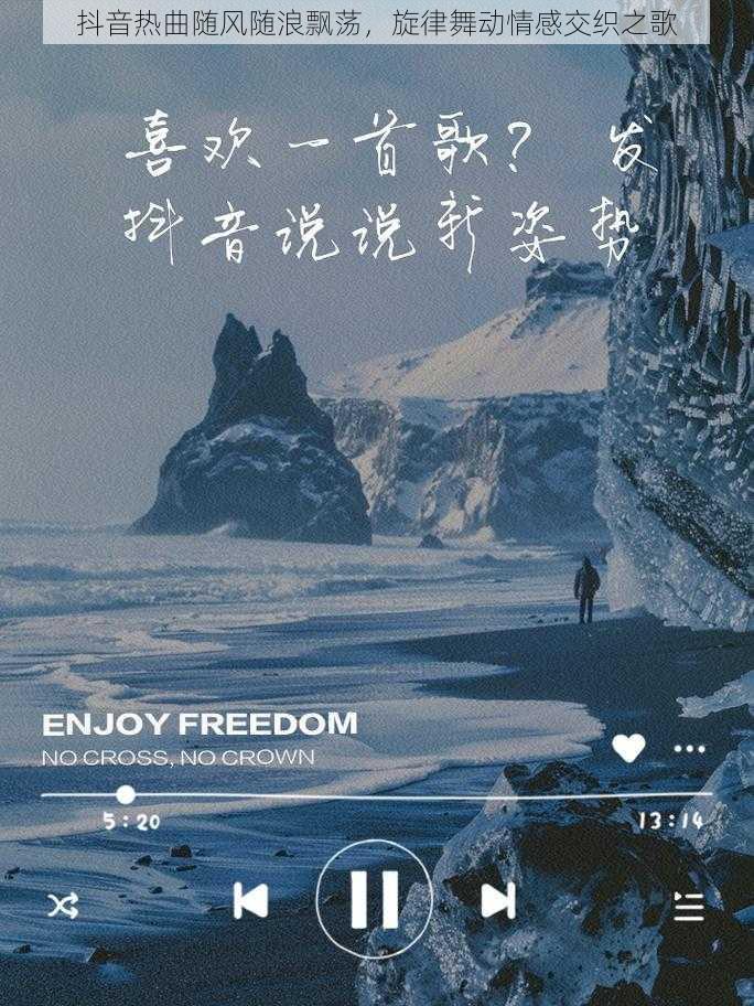 抖音热曲随风随浪飘荡，旋律舞动情感交织之歌