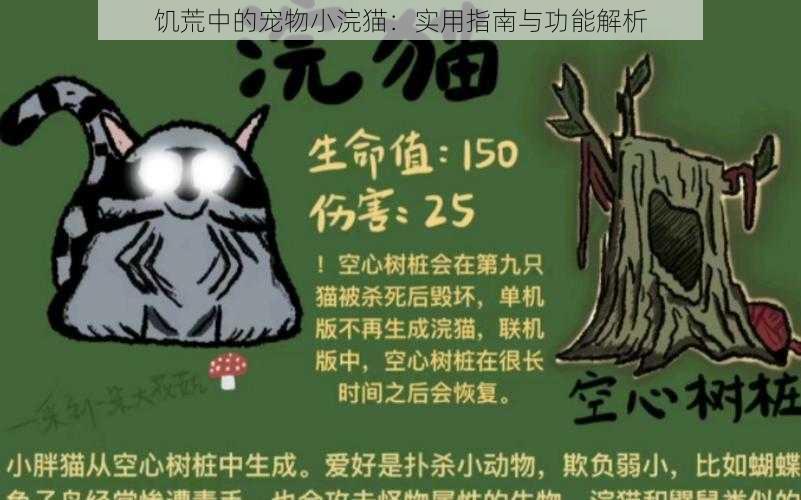 饥荒中的宠物小浣猫：实用指南与功能解析