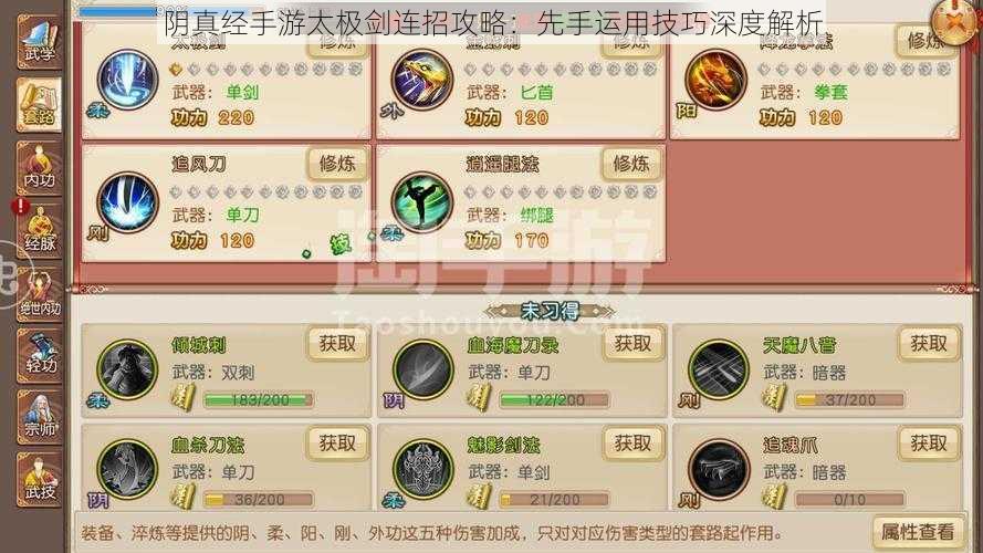 阴真经手游太极剑连招攻略：先手运用技巧深度解析