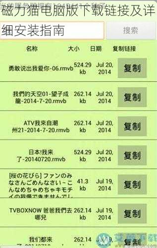 磁力猫电脑版下载链接及详细安装指南